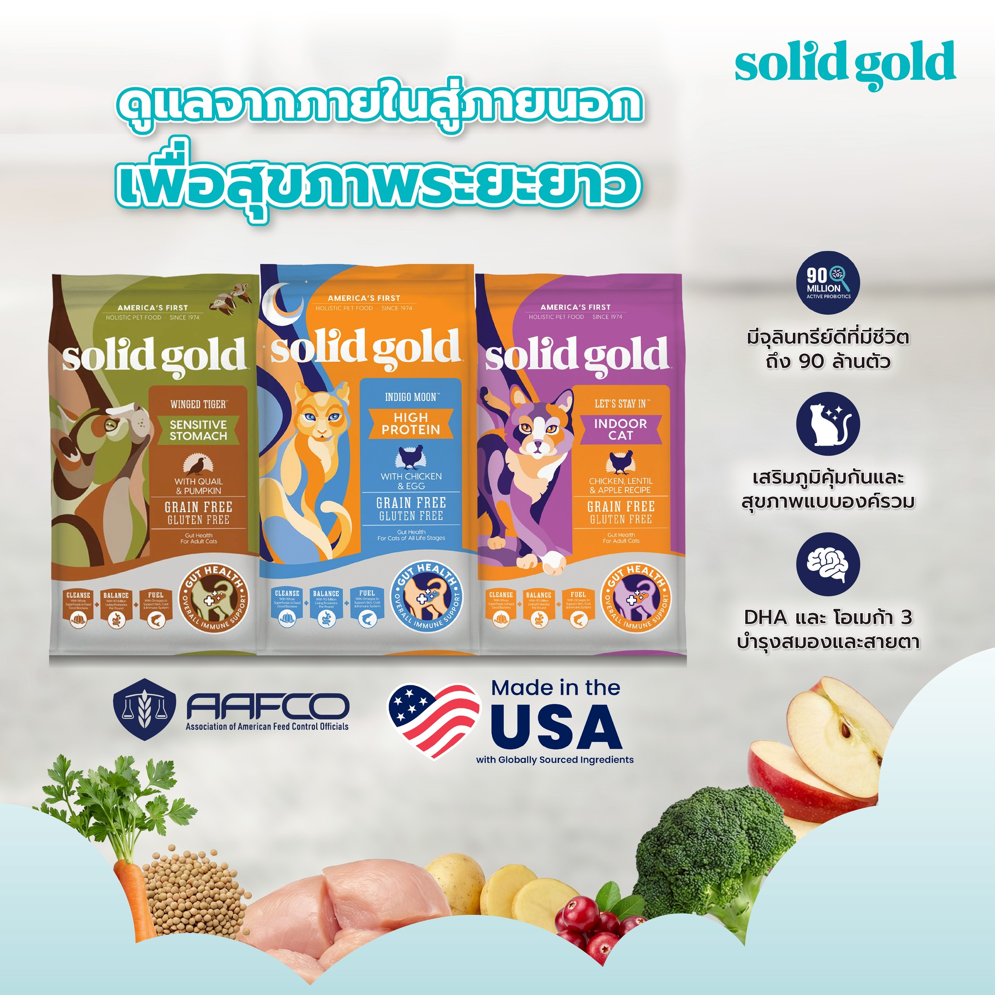 KSP Solid Gold แมว-02